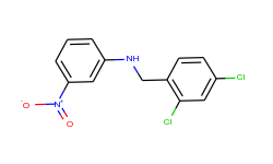 n-(2,4-dichlorobenzyl)-n-(3-nitrophenyl)amine