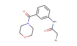 2-bromo-n-[3-(4-morpholinylcarbonyl)phenyl]-acetamide