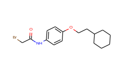 2-bromo-n-[4-(2-cyclohexylethoxy)phenyl]acetamide