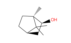 Bicyclo[2.2.1]heptan-2-ol, 1,7,7-trimethyl-, (1R,2S,4R)-rel-