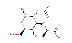 n-acetyl alpha-muramic acid
