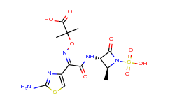 aztreonam