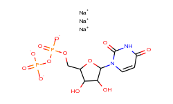 Uridine 5'-diphosphoric acid disodium salt