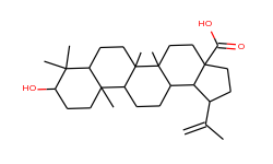 3beta-hydroxy-20(29)-lupaene-28-oic acid