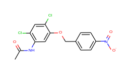 n-{2,4-dichloro-5-[(4-nitrobenzyl)oxy]-phenyl}acetamide