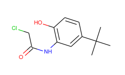 n-(5-tert-butyl-2-hydroxy-phenyl)-2-chloro-acetamide