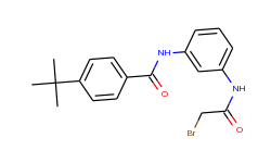 n-{3-[(2-bromoacetyl)amino]phenyl}-4-(tert-butyl)benzamide