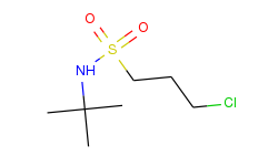 n-tert-butyl-3-chloropropane-1-sulfonamide
