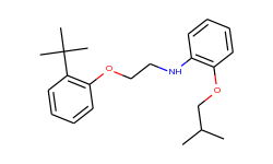 n-{2-[2-(tert-butyl)phenoxy]ethyl}-2-isobutoxyaniline