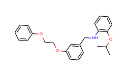 2-isopropoxy-n-[3-(2-phenoxyethoxy)benzyl]aniline