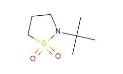 N-t-Butyl-1,3-propanesultam