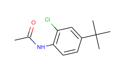N-(4-(tert-Butyl)-2-chlorophenyl)acetamide