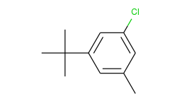 3-t-butyl-5-chlorotoluene