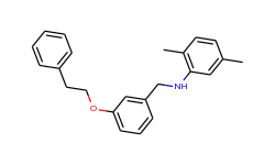 2,5-dimethyl-n-[3-(phenethyloxy)benzyl]aniline