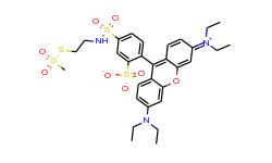 Sulforhodamine Methanethiosulfonate