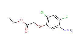 ethyl 2-(5-amino-2,4-dichlorophenoxy)acetate