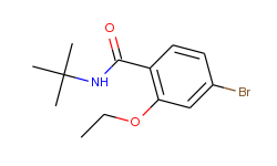 n-t-butyl 4-bromo-2-ethoxybenzamide
