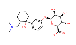 O-Desmethyl Tramadol β-D-Glucuronide