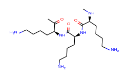 epsilon-polylysine