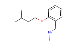 [2-(isopentyloxy)phenyl]-n-methylmethanamine