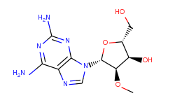 2-amino-2'-o-methyl-adenosine