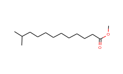 Methyl 11-Methyldodecanoate