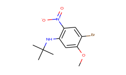 4-bromo-n-t-butyl-5-methoxy-2-nitroaniline
