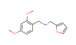 (2,4-dimethoxy-benzyl)-furan-2-ylmethyl-amine