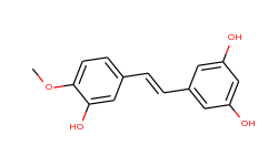 rhapontigenin