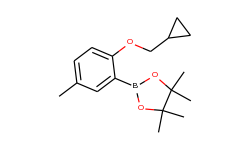 2-cyclopropylmethoxy-5-methylphenylboronic acid pinacol ester