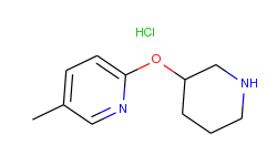 5-Methyl-2-(piperidin-3-yloxy)-pyridine hydrochloride