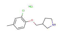 2-chloro-4-methylphenyl 3-pyrrolidinylmethyl-ether hydrochloride