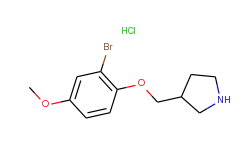 2-bromo-4-methoxyphenyl 3-pyrrolidinylmethyl ether hydrochloride