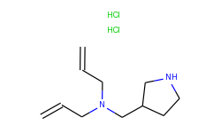 n-allyl-n-(3-pyrrolidinylmethyl)-2-propen-1-amine dihydrochloride