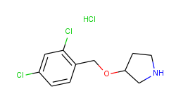 3-[(2,4-dichlorobenzyl)oxy]pyrrolidine hydrochloride