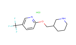 2-(3-piperidinylmethoxy)-5-(trifluoromethyl)-pyridine hydrochloride