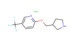 3-pyrrolidinylmethyl 5-(trifluoromethyl)-2-pyridinyl ether hydrochloride