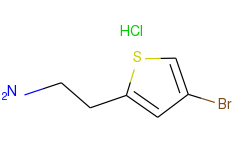 2-(2-aminoethyl)-4-bromothiophene hcl