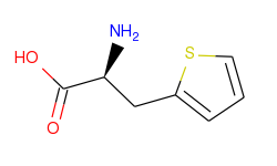 l-3-thienylalanine