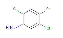 4-bromo-2,5-dichloroaniline