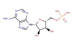 5-adenylic acid
