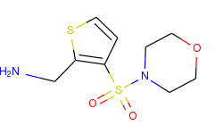 [3-(morpholin-4-ylsulfonyl)thien-2-yl]methylamine