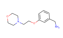 [3-(morpholinoethoxy)-phenyl]methyl amin