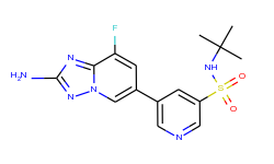 5-(2-amino-8-fluoro-[1,2,4]triazolo[1,5-a]pyridin-6-yl)-N-tert-butylpyridine-3-sulfonamide
