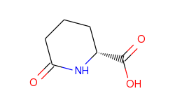 2-Piperidinecarboxylic acid, 6-oxo-, (R)-