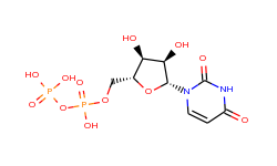 Uridine 5'-(trihydrogen diphosphate)