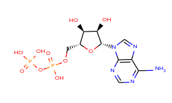 Adenosine 5'-(trihydrogen diphosphate)