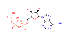 Adenosine 5'-(tetrahydrogen triphosphate)