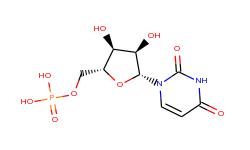 5'-Uridylic acid