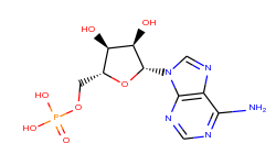 5'-Adenylic acid
